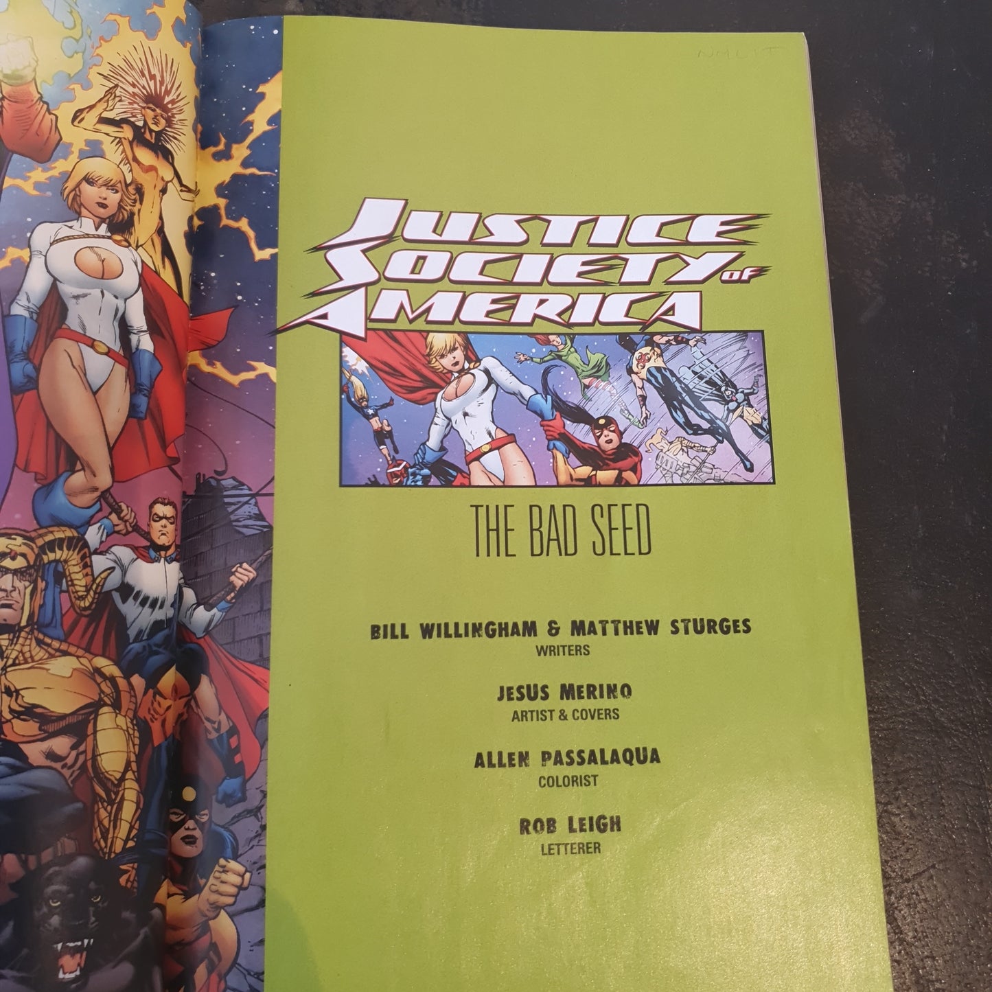 Justice Society of America: The Bad Seed by Willingham, Sturges & Merino (2009)