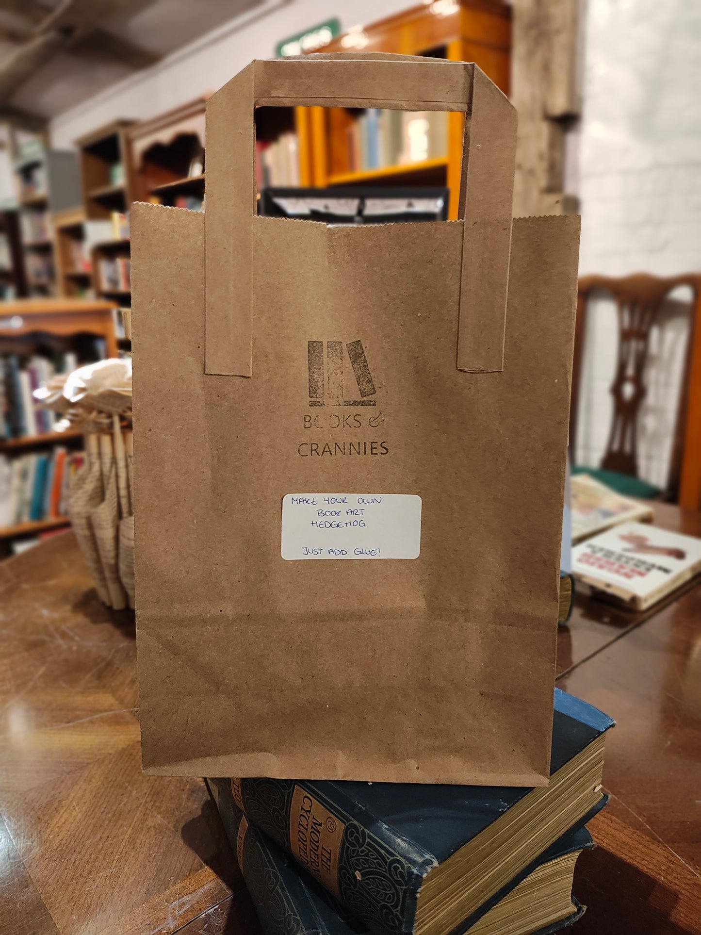 Make Your Own Book Fold Hedgehog Kit