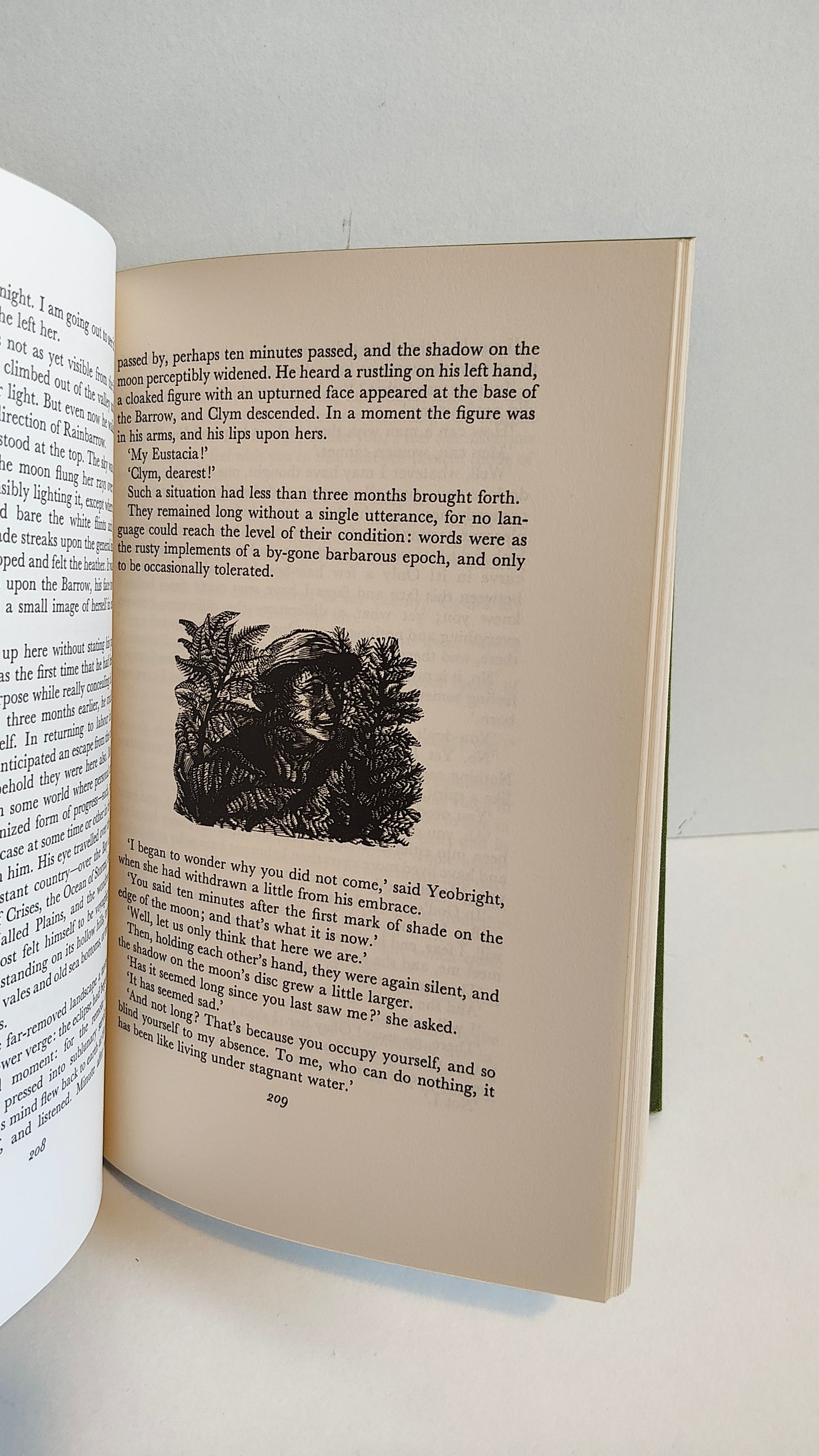 The Return of the Native by Thomas Hardy (1986)