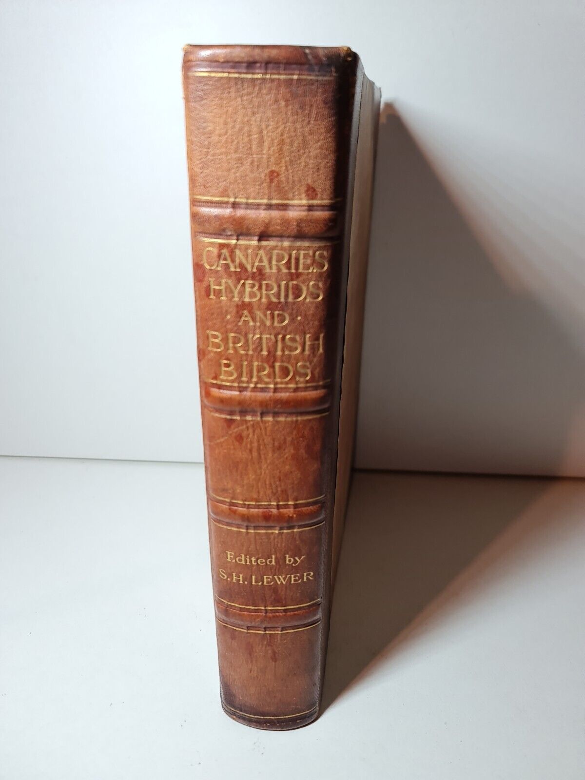 Canaries, Hybrids and British Birds in Cage and Aviary, John Robson (1911)