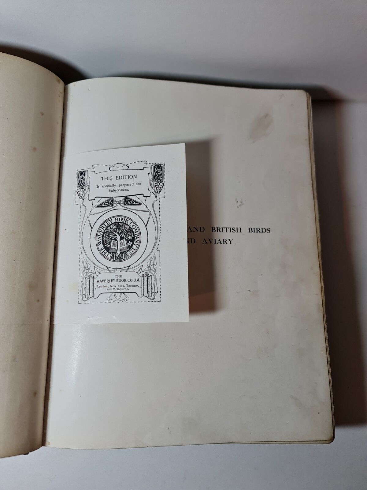 Canaries, Hybrids and British Birds in Cage and Aviary, John Robson (1911)