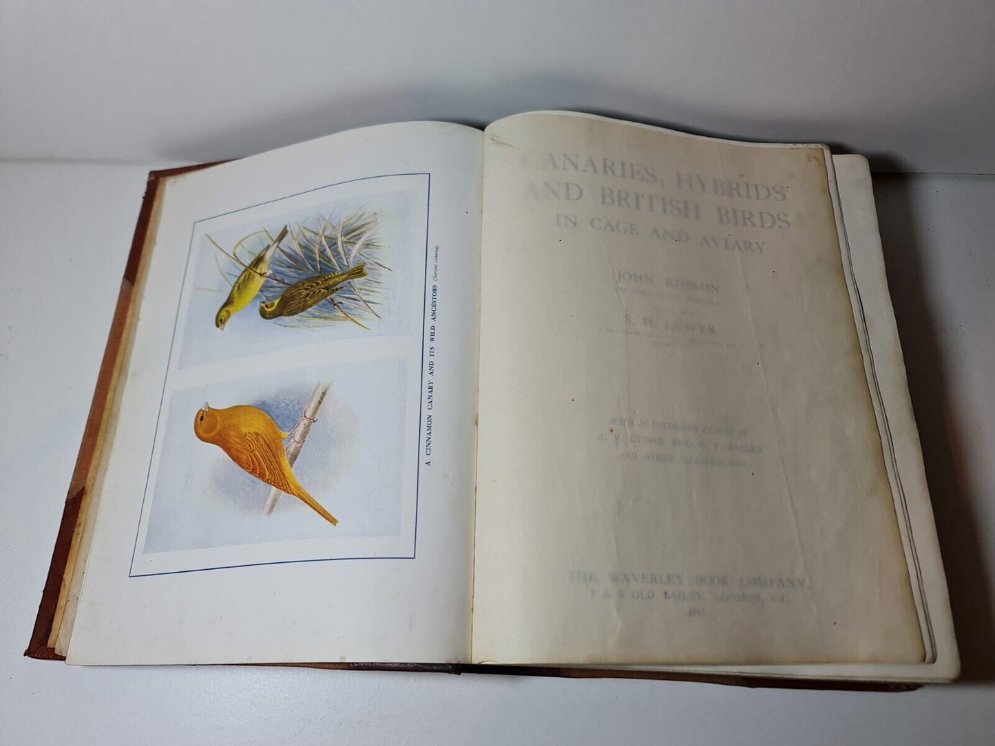 Canaries, Hybrids and British Birds in Cage and Aviary, John Robson (1911)