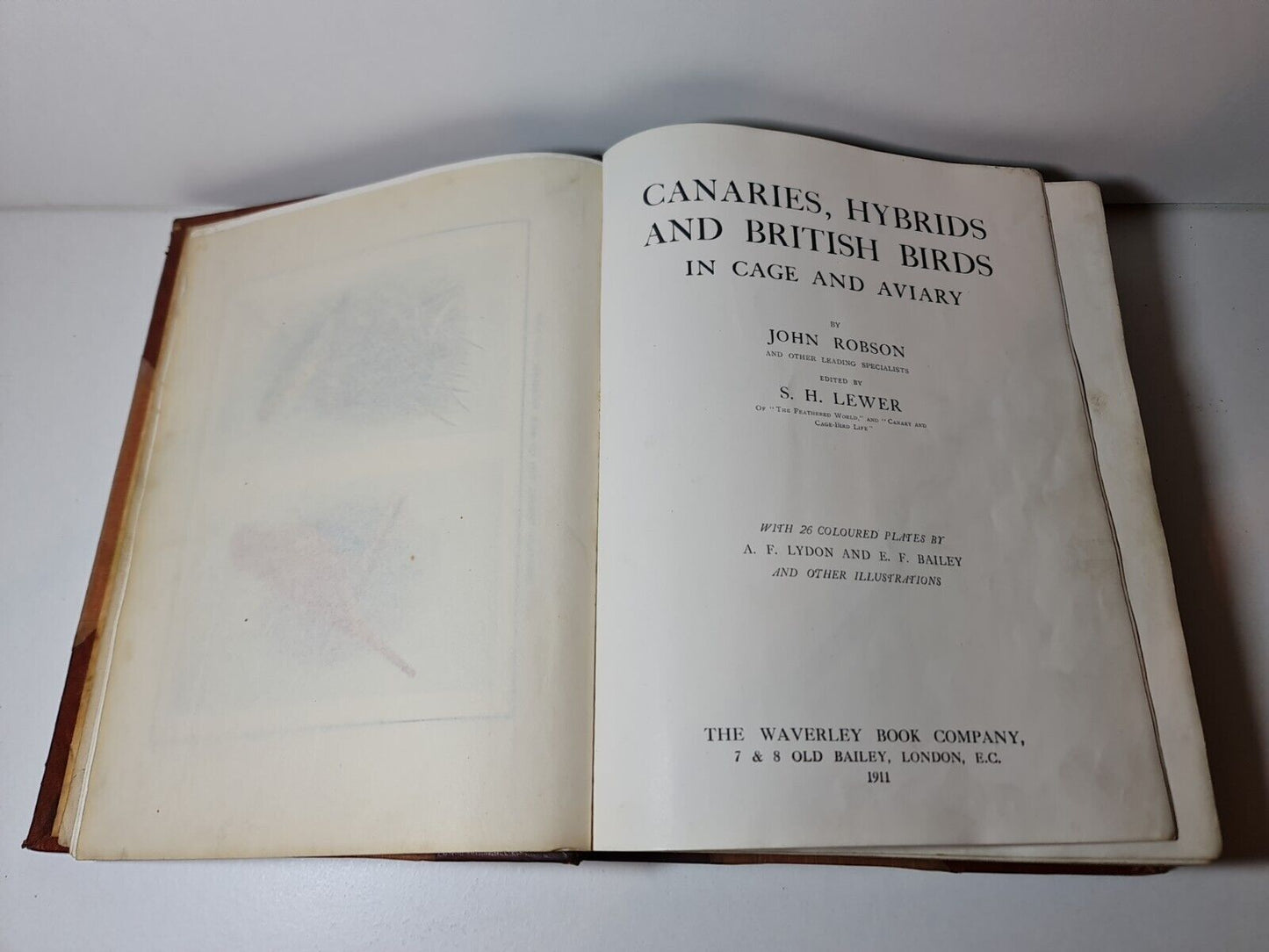 Canaries, Hybrids and British Birds in Cage and Aviary, John Robson (1911)