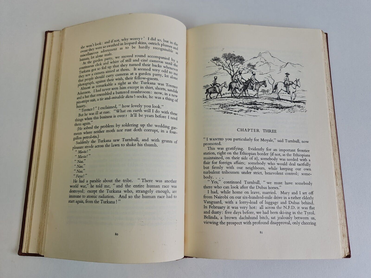The Desert's Dusty Face by Charles C Trench (1964)