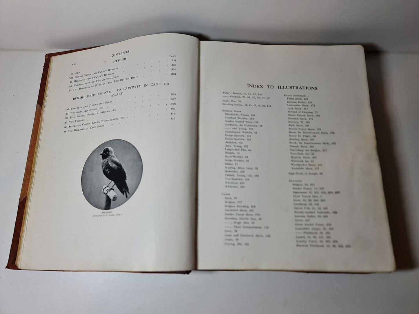 Canaries, Hybrids and British Birds in Cage and Aviary, John Robson (1911)