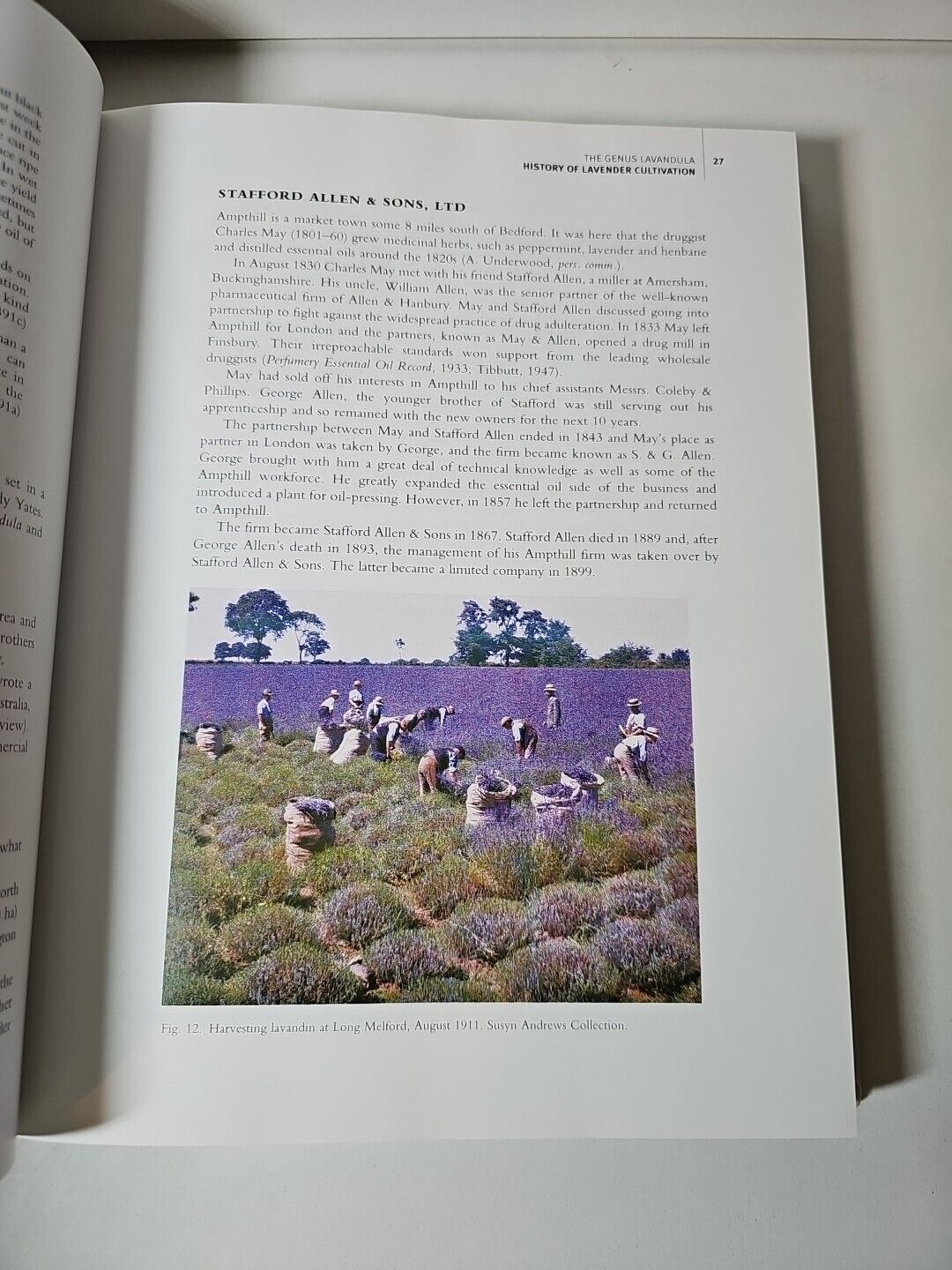 The Genus Lavandula by Tim Upson (2004)