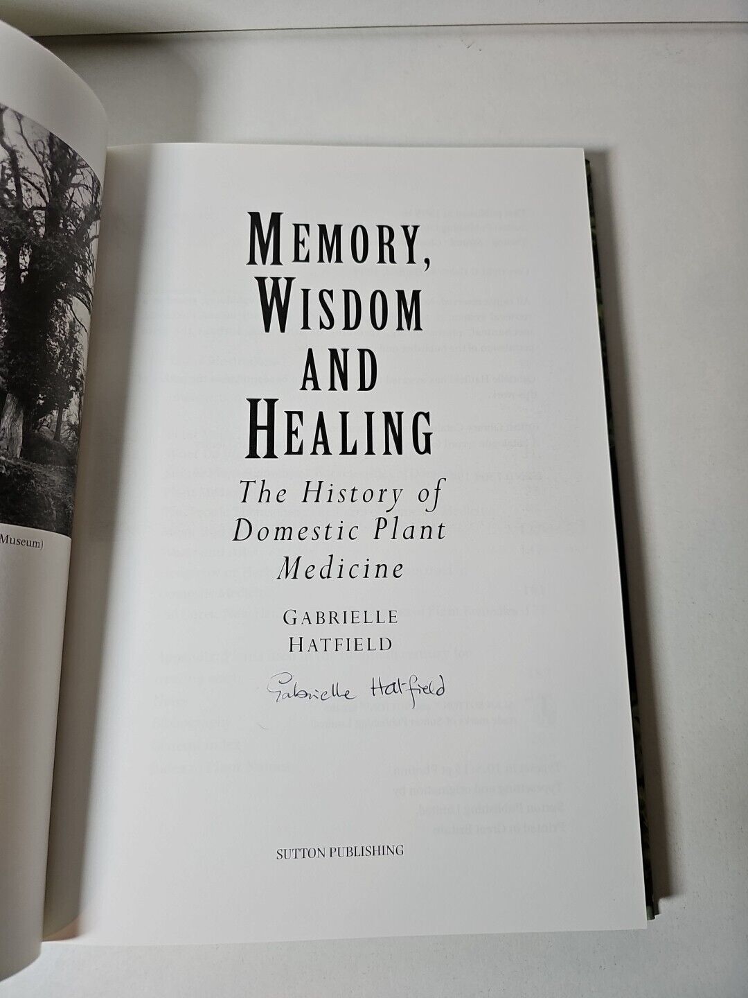 Memory, Wisdom and Healing: The History of Domestic Plant Medicine by G Hatfield
