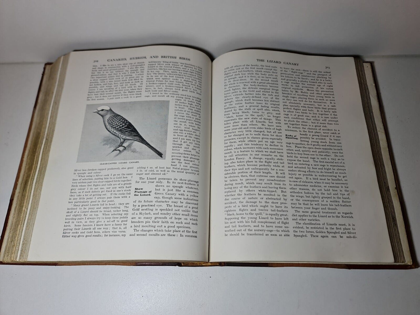 Canaries, Hybrids and British Birds in Cage and Aviary, John Robson (1911)