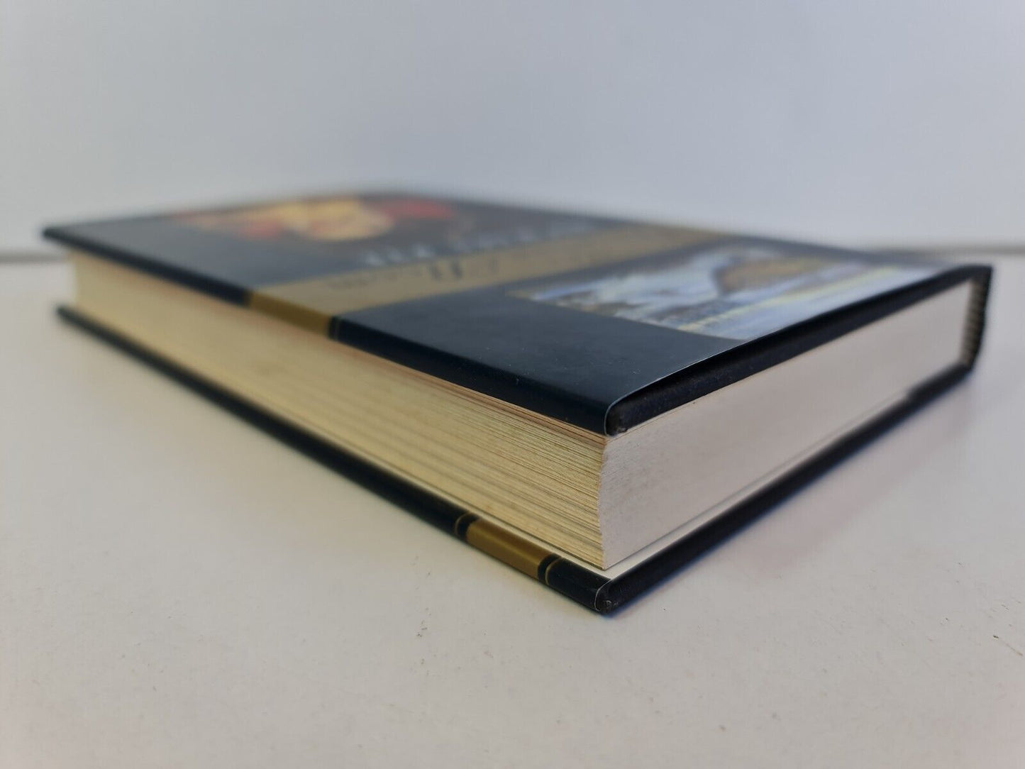 The Drowning Room by Michael Pye (1995)