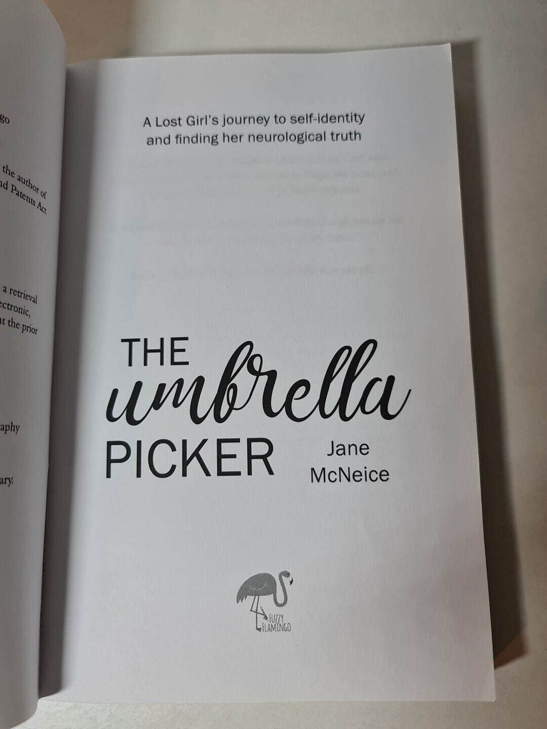 The Umbrella Picker: A Lost Girl's Journey to Self-identity... (2022)