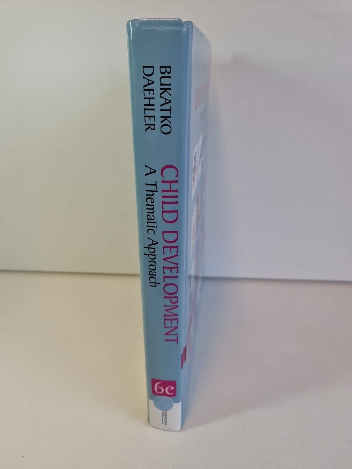 Child Development : A Thematic Approach by Danuta Bukatko (2011)