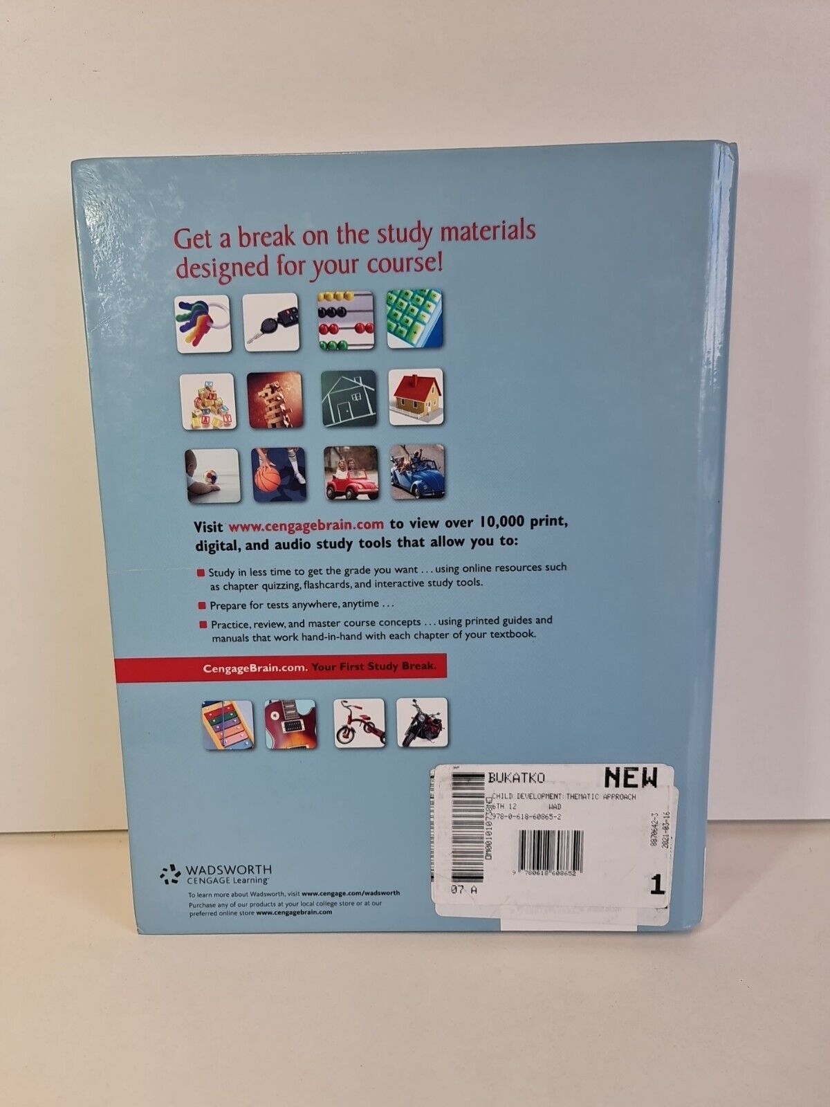 Child Development : A Thematic Approach by Danuta Bukatko (2011)