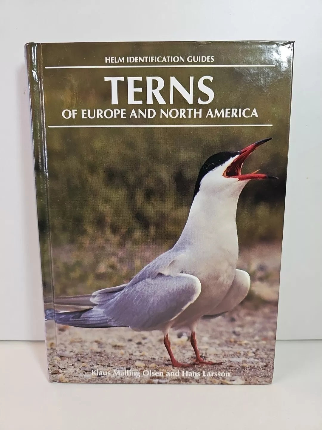 Terns of Europe and North America by Hans Larsson, Klaus Malling Olsen (1995)