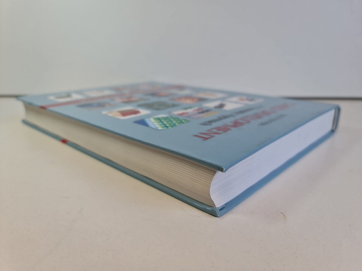 Child Development : A Thematic Approach by Danuta Bukatko (2011)