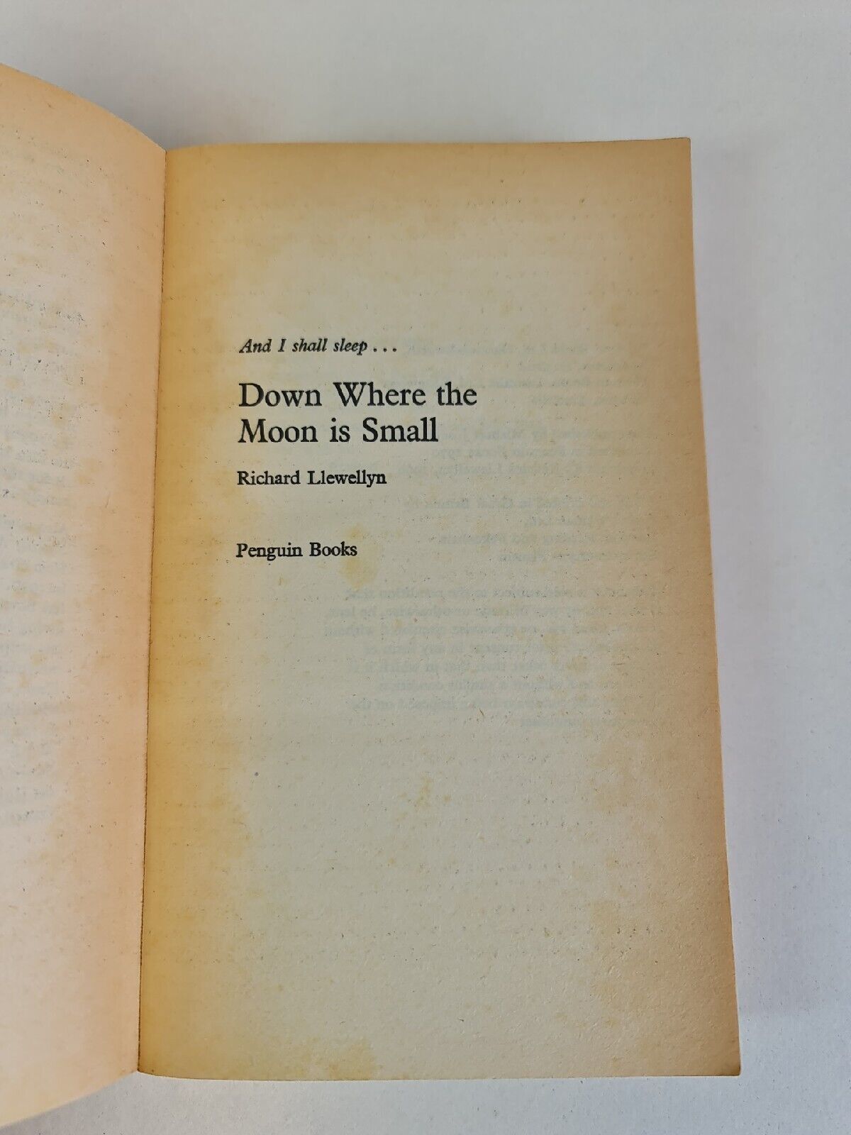 Down Where the Moon is Small by Richard Llewellyn (1970)