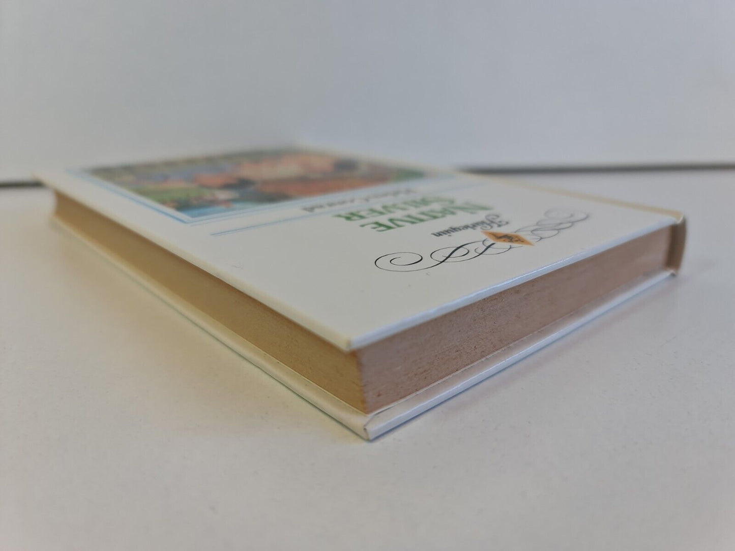 Native Silver by Helen Conrad (1985)