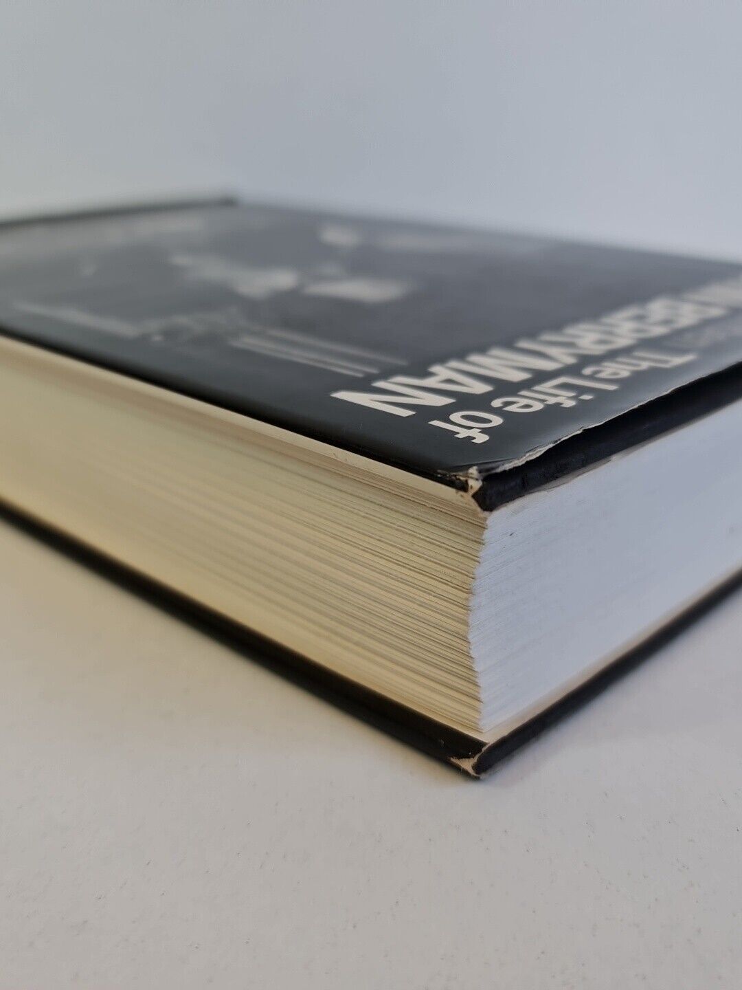 Life of John Berryman by John Haffenden (1982)