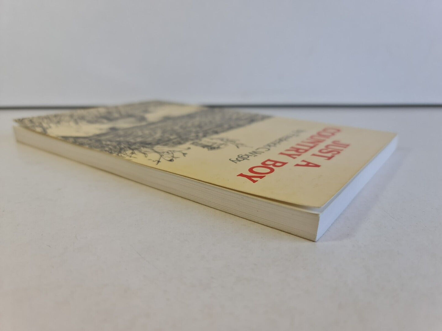 Just A Country Boy by Frederick Wigby (1984)