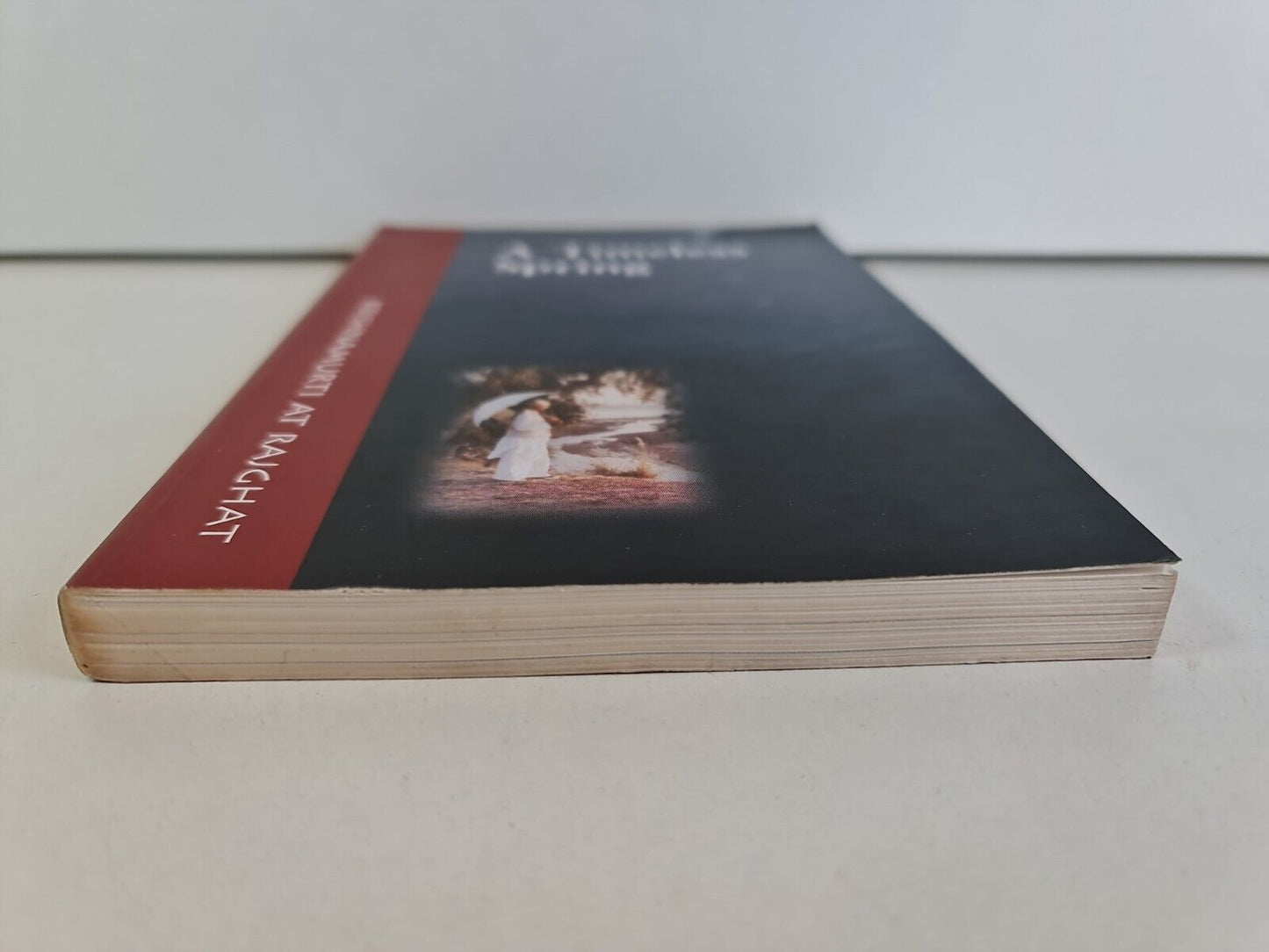 A Timeless Spring by J. Krishnamurti (1999)