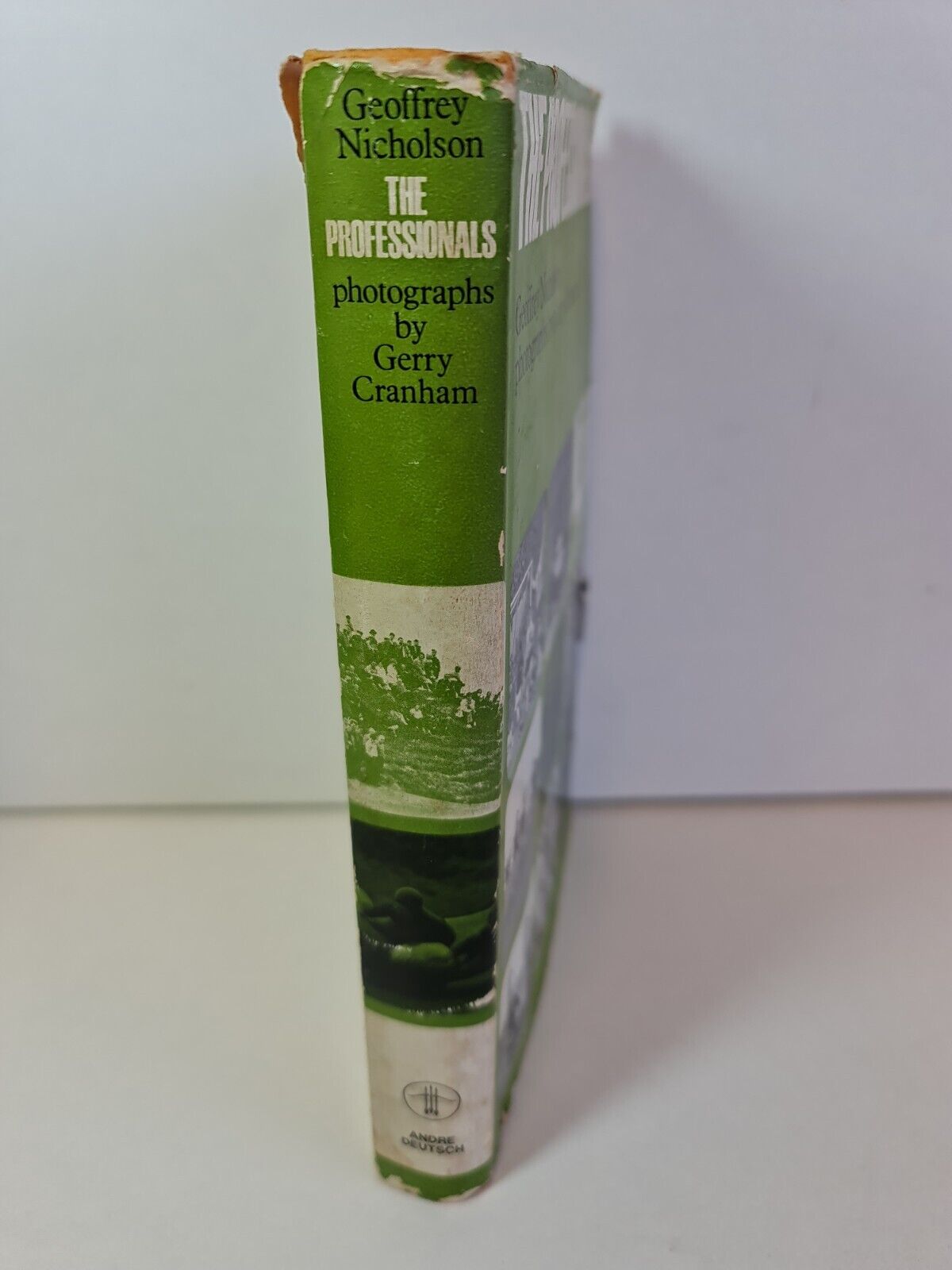 The Professionals by Geoffrey Nicholson (1964)