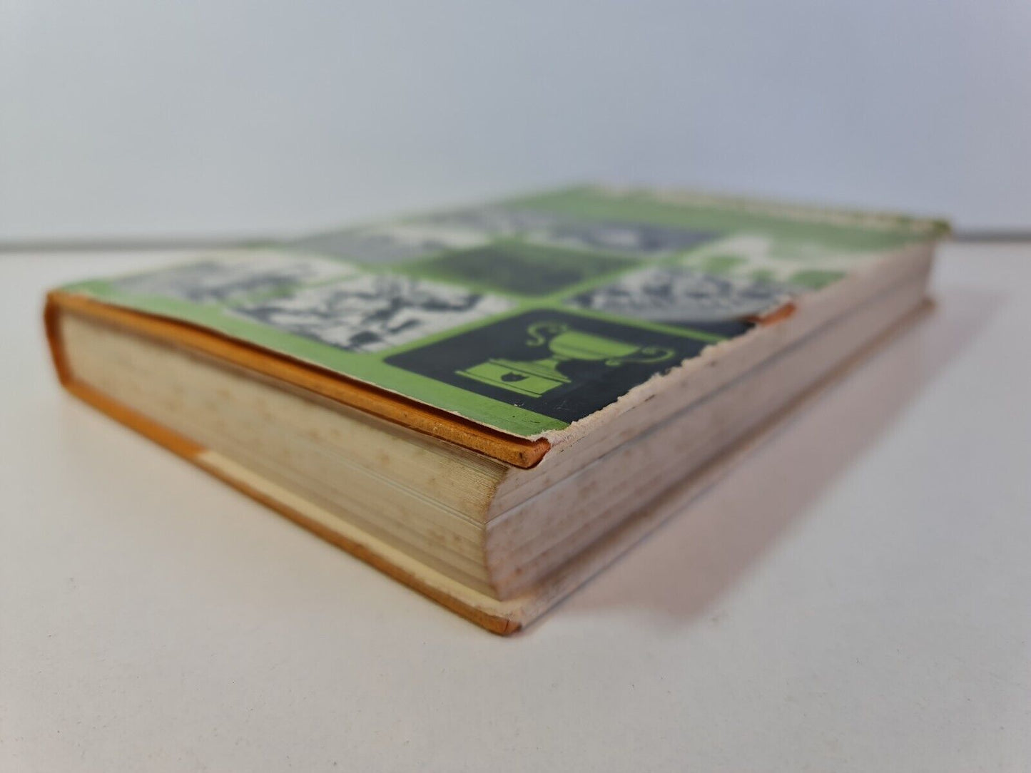 The Professionals by Geoffrey Nicholson (1964)