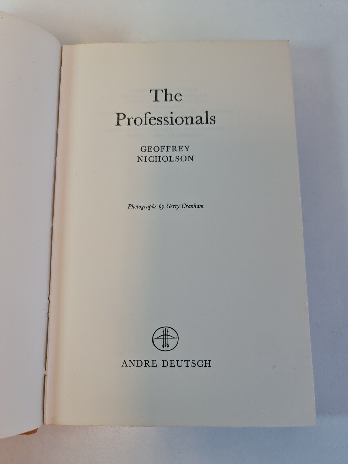 The Professionals by Geoffrey Nicholson (1964)