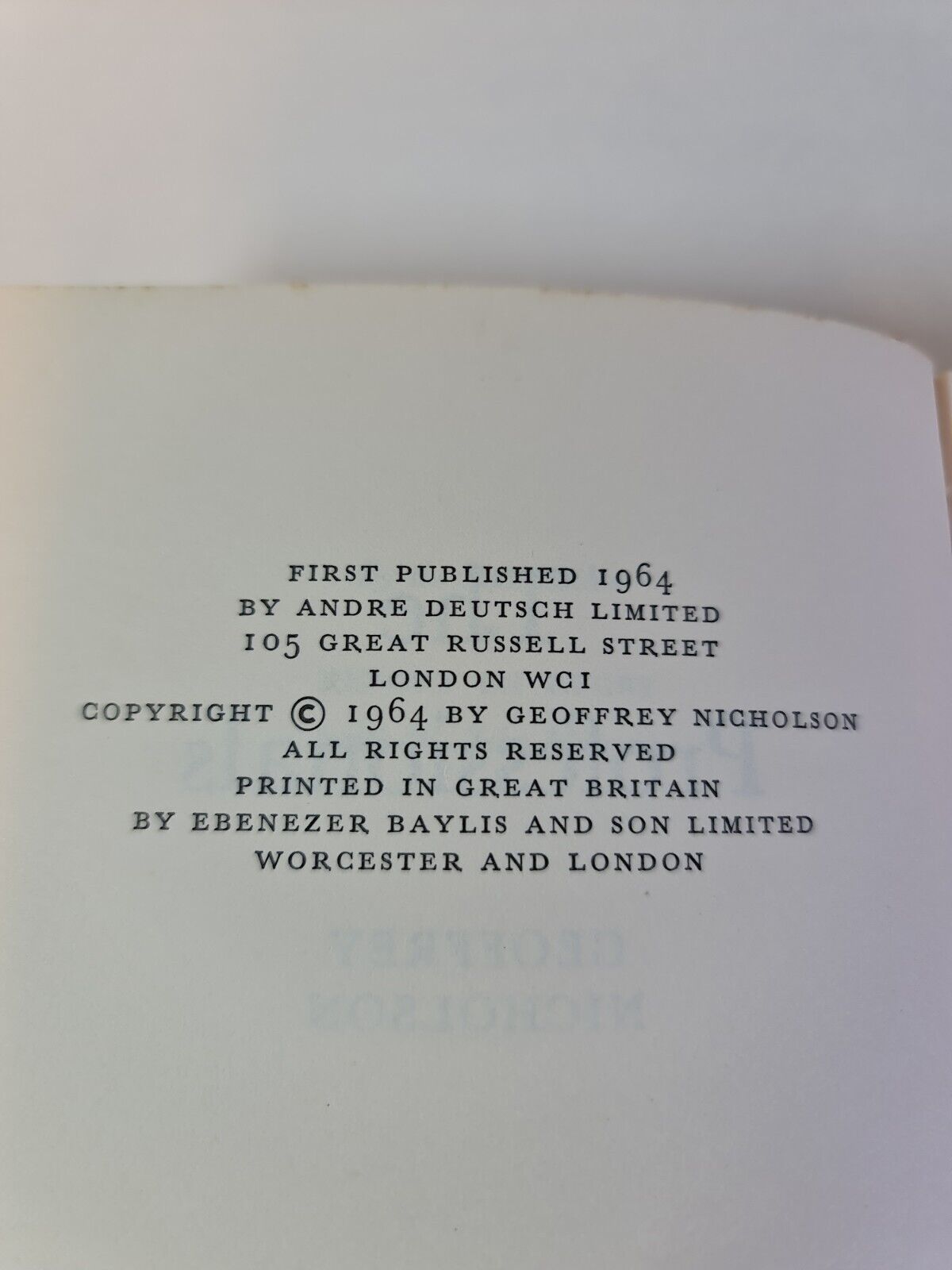 The Professionals by Geoffrey Nicholson (1964)
