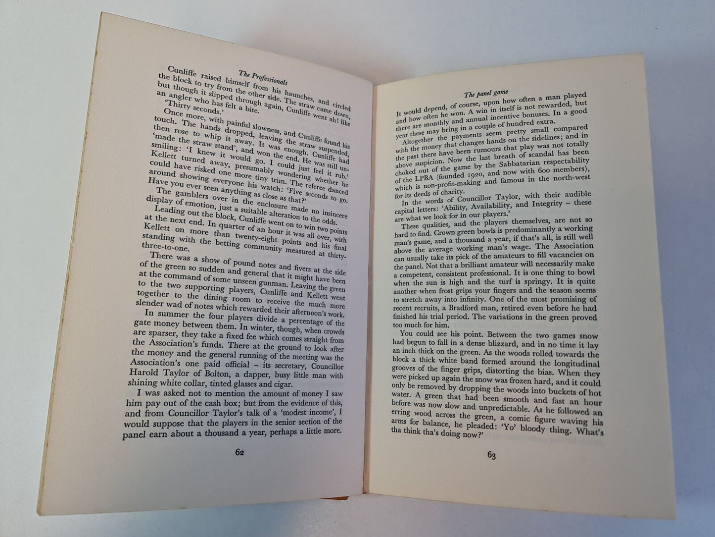 The Professionals by Geoffrey Nicholson (1964)