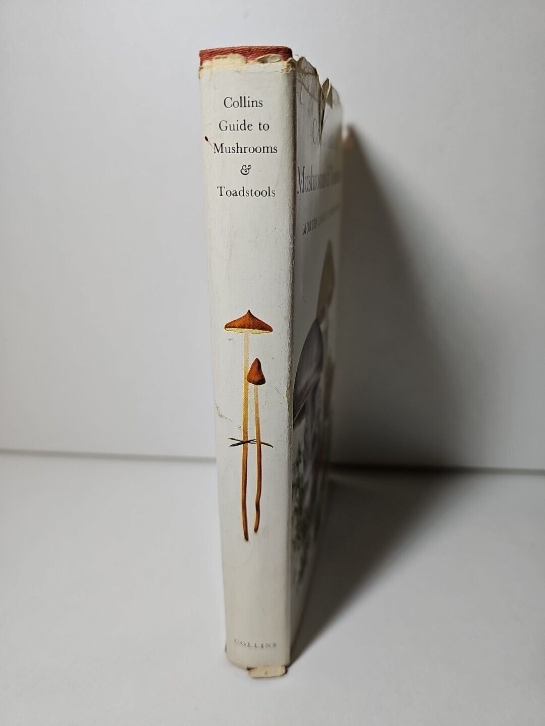 Collins Guide to Mushrooms & Toadstools by Morten Lange (1963)