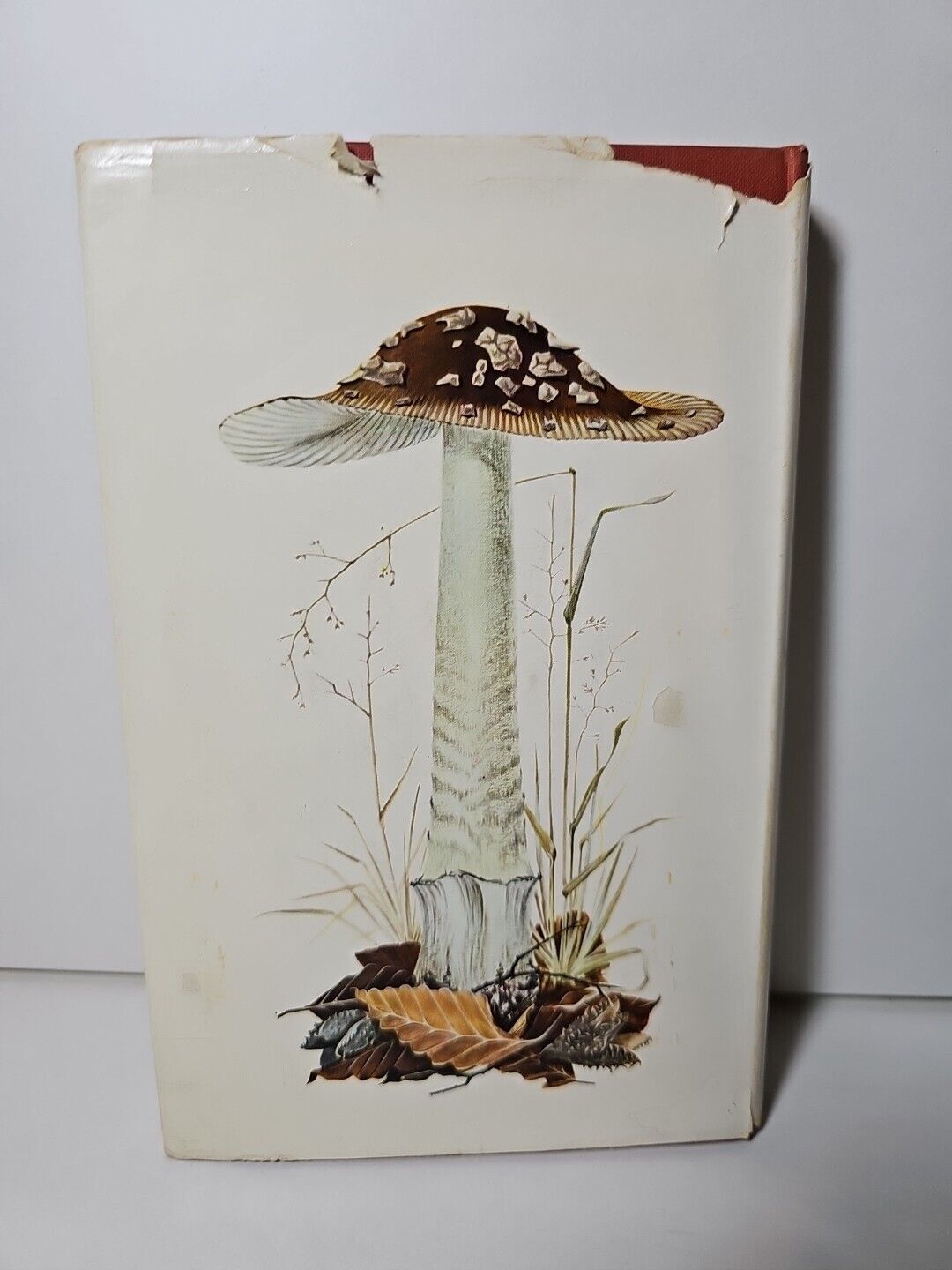 Collins Guide to Mushrooms & Toadstools by Morten Lange (1963)