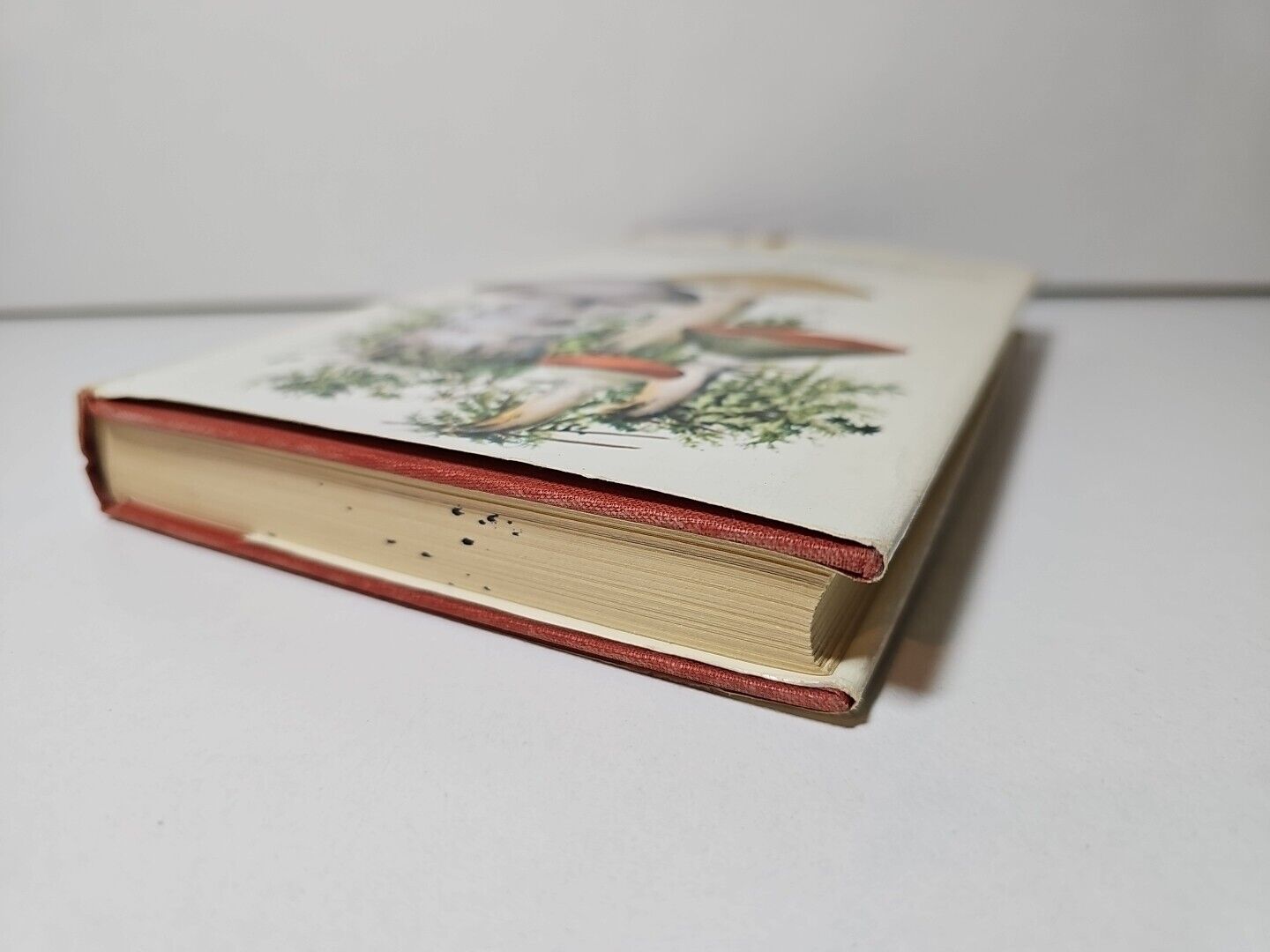 Collins Guide to Mushrooms & Toadstools by Morten Lange (1963)