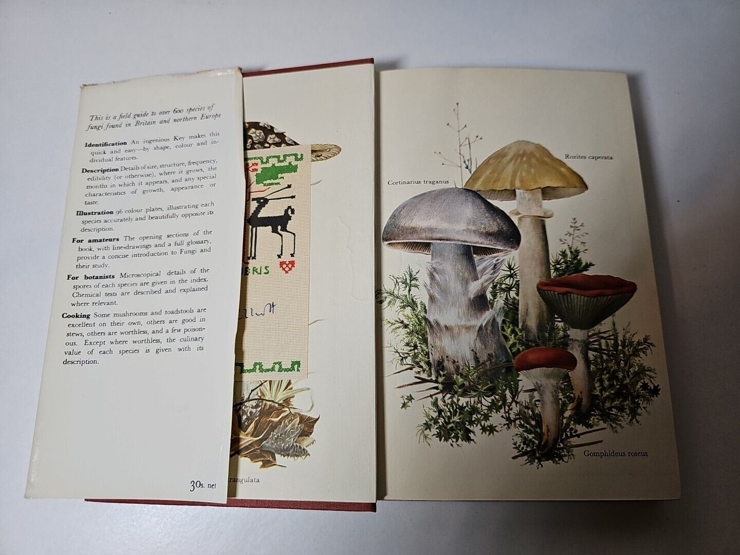 Collins Guide to Mushrooms & Toadstools by Morten Lange (1963)