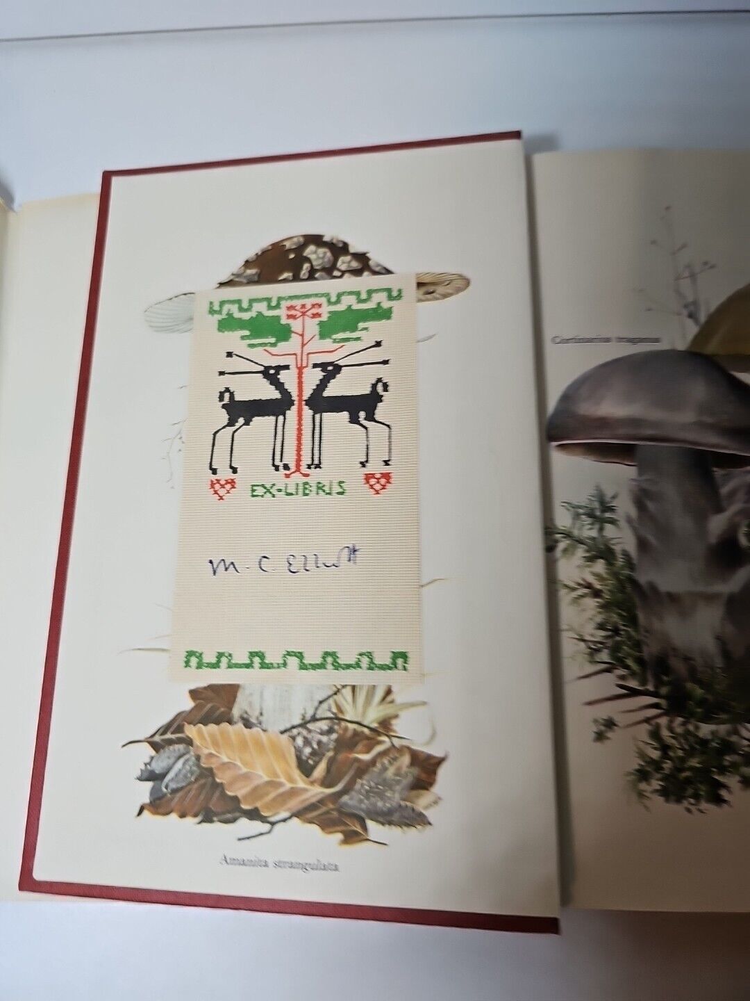 Collins Guide to Mushrooms & Toadstools by Morten Lange (1963)