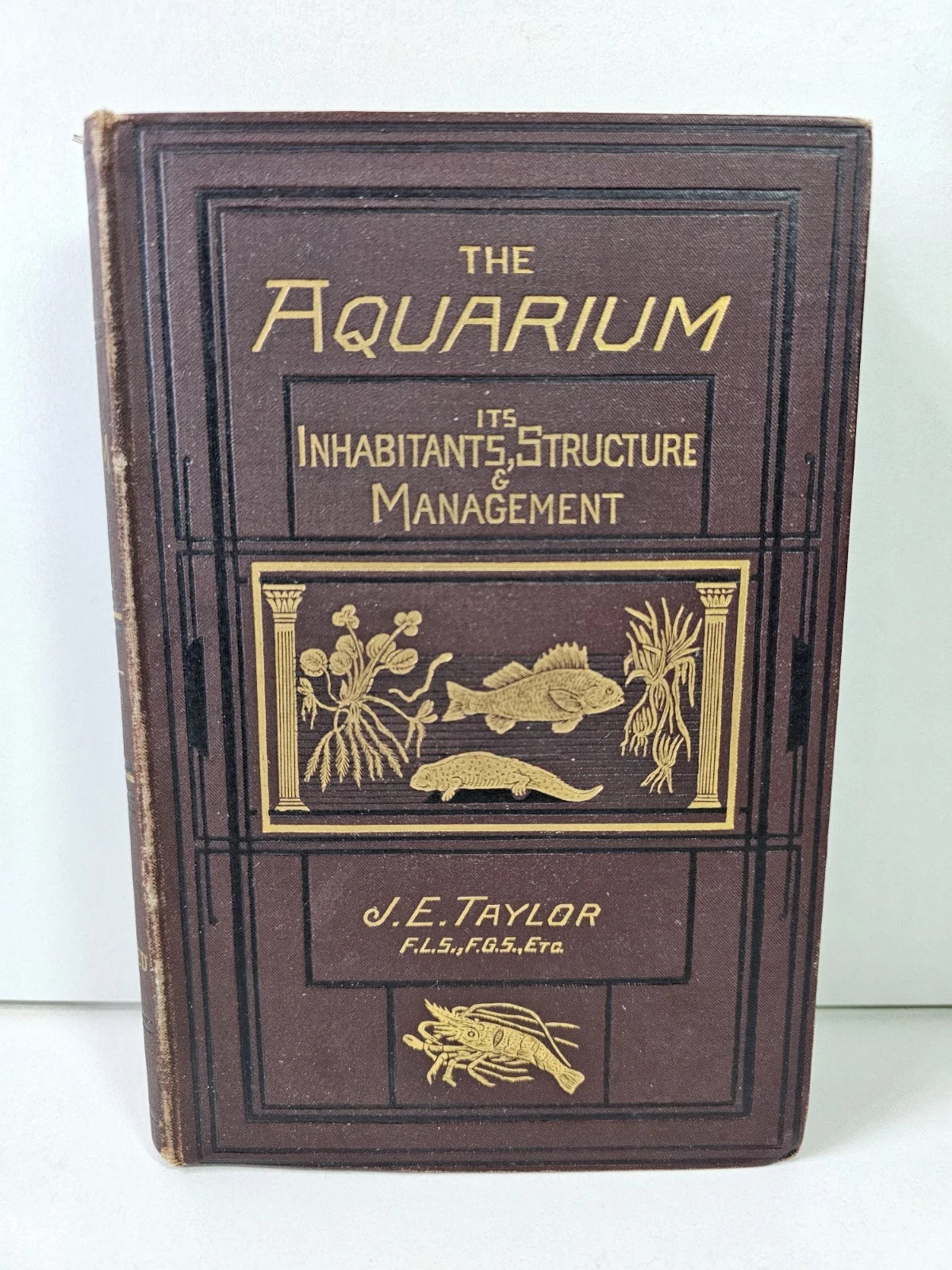 The Aquarium: Its Inhabitants, Structure... by Taylor (1881)