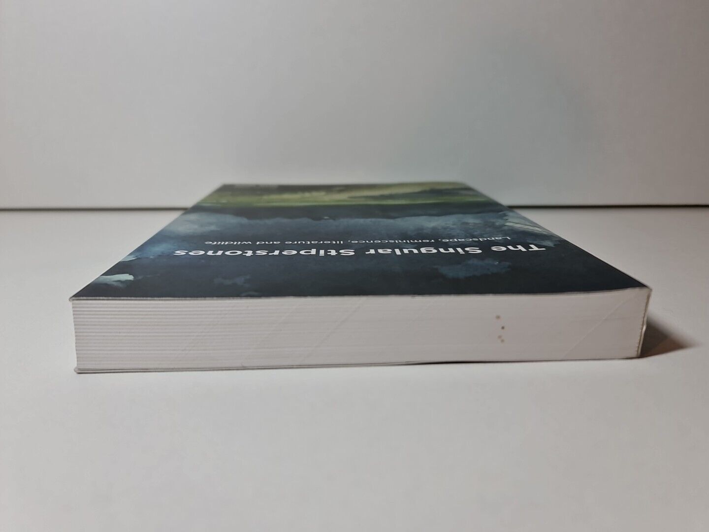 SIGNED - The Singular Stiperstones by Tom Wall (2014)