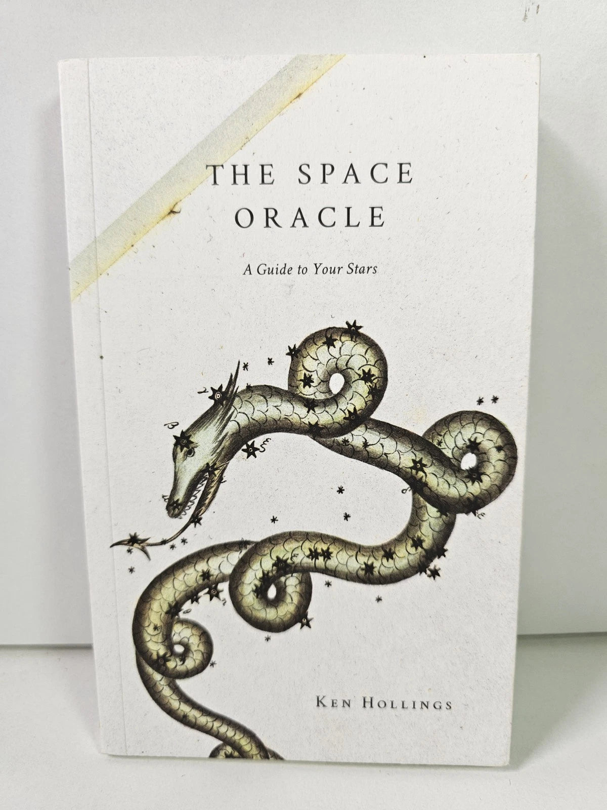 The Space Oracle by Ken Hollings (2018)