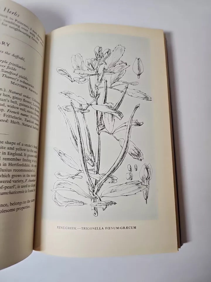 Elixirs of Life by C F Leyel  (1948)