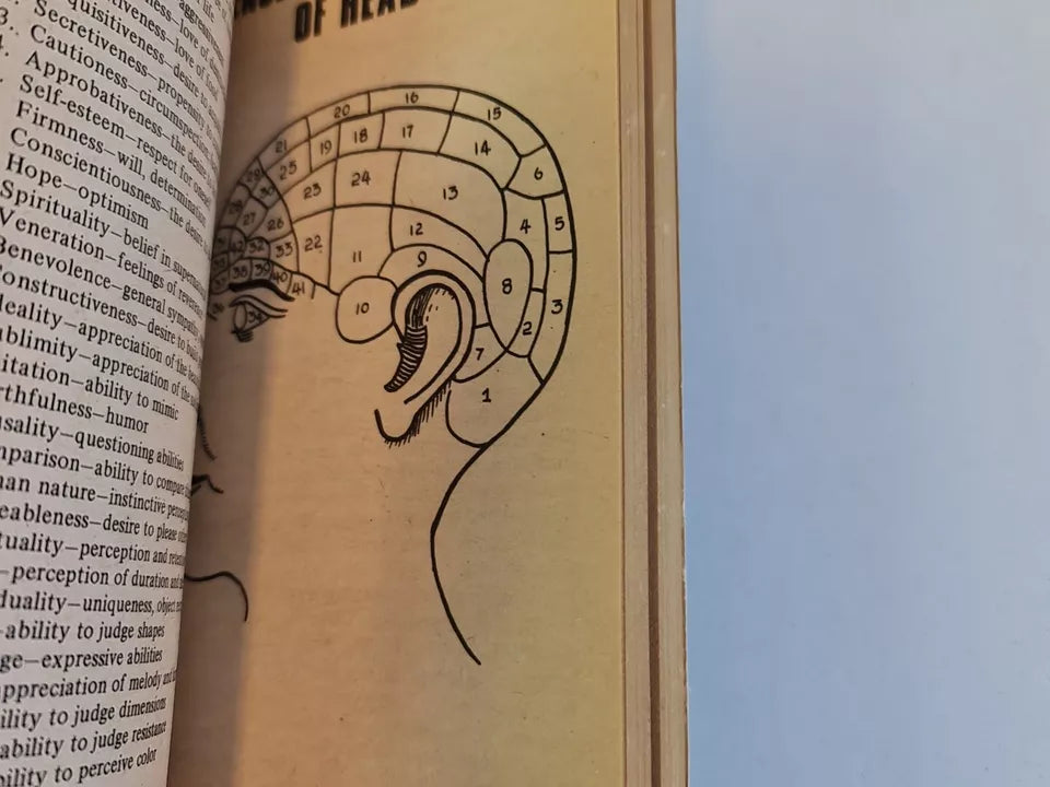 SIGNED Your Practical Guide to Fortune-Telling by Rob Davies (1974)