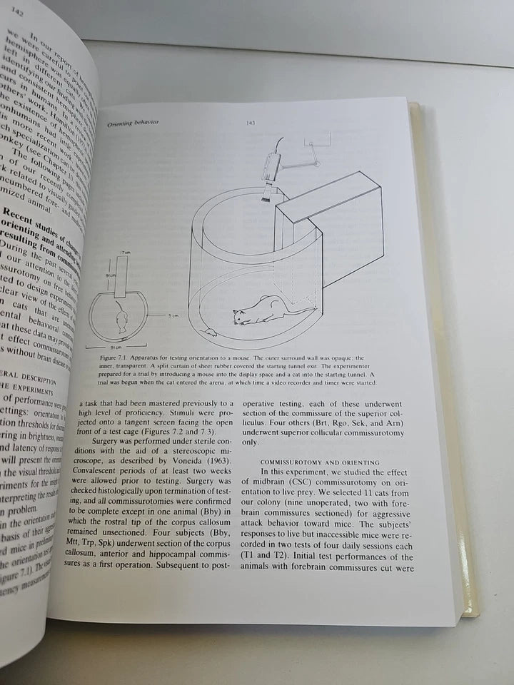 Brain Circuits and Functions of the Mind: Essays in Honor of Roger Wolcott