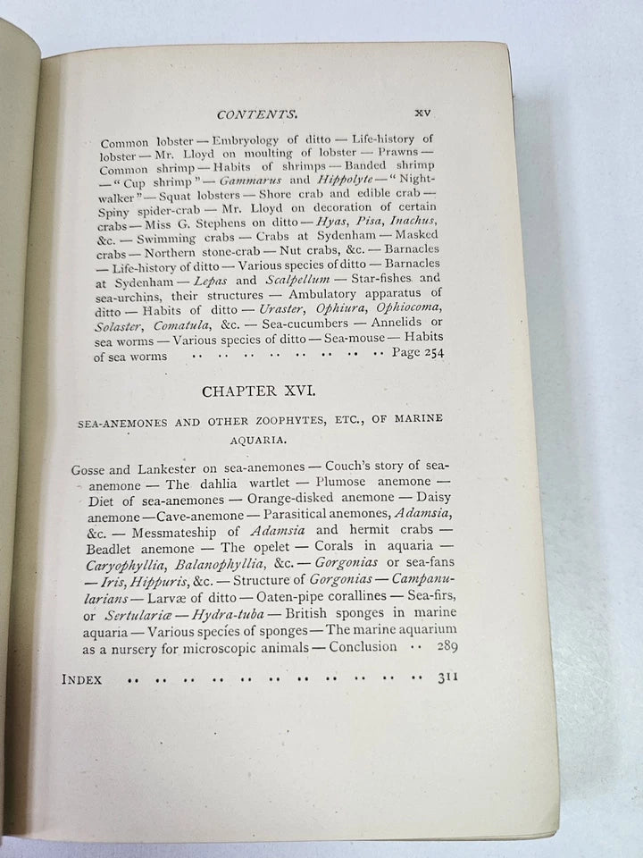 The Aquarium: Its Inhabitants, Structure... by Taylor (1881)
