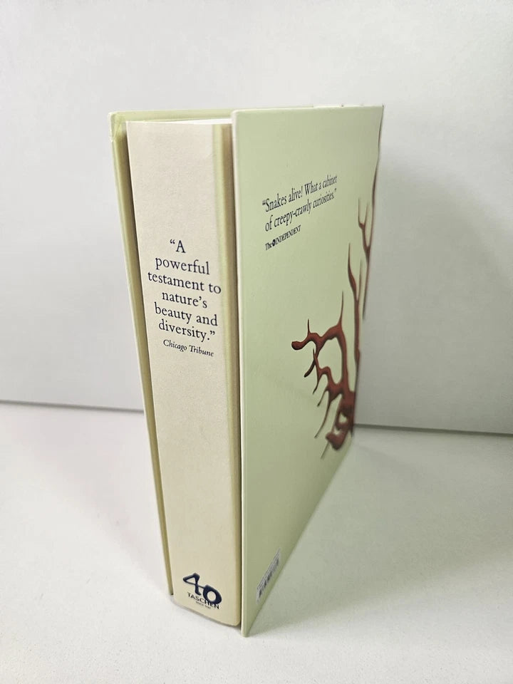 Cabinet of Natural Curiosities 1734-1765 by Albertus Seba (2022)