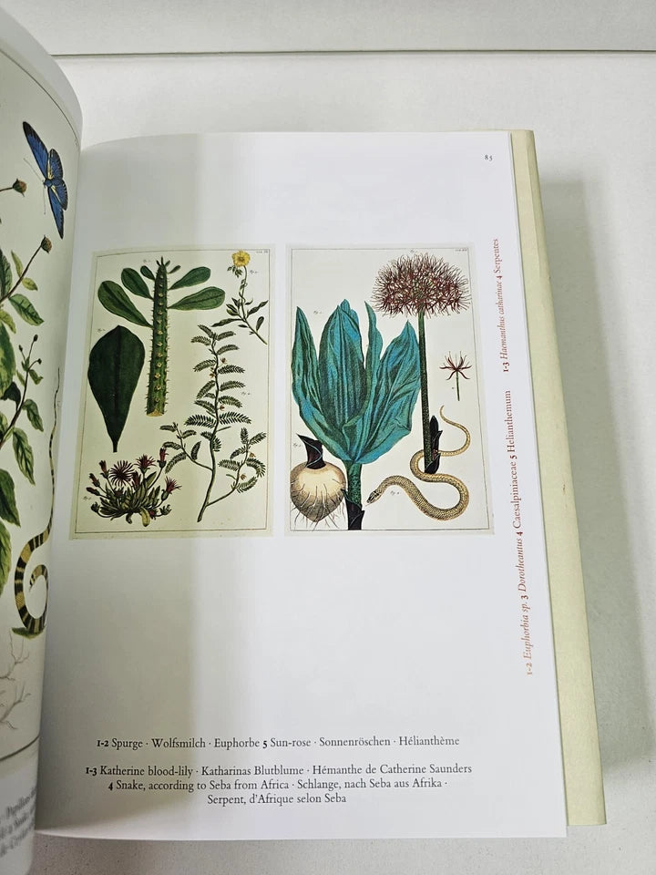Cabinet of Natural Curiosities 1734-1765 by Albertus Seba (2022)