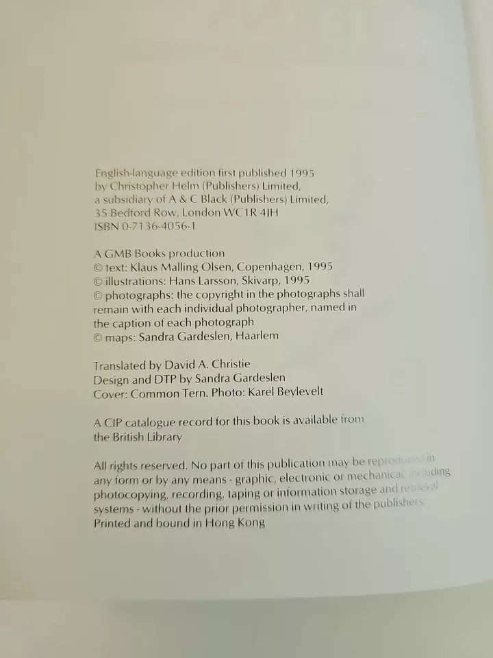 Terns of Europe and North America by Hans Larsson, Klaus Malling Olsen (1995)