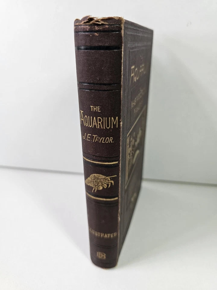 The Aquarium: Its Inhabitants, Structure... by Taylor (1881)