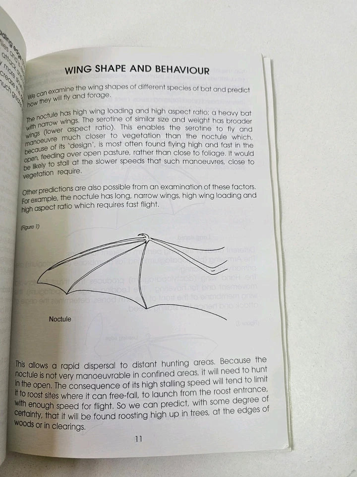 Bat Detective: A Field Guide for Bat Detection by David King (1998)