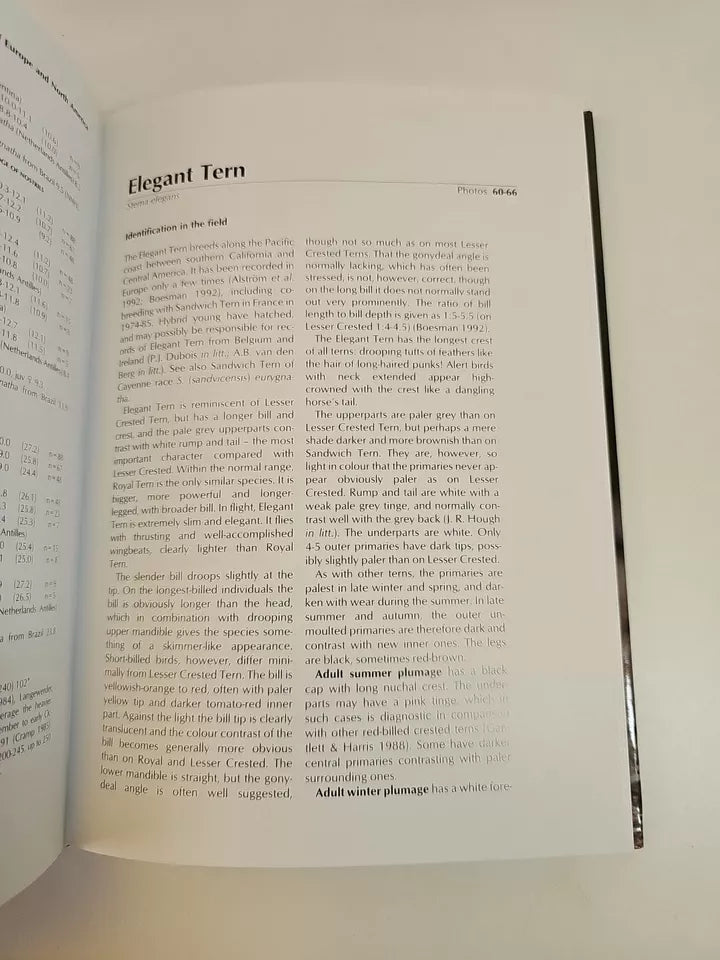 Terns of Europe and North America by Hans Larsson, Klaus Malling Olsen (1995)