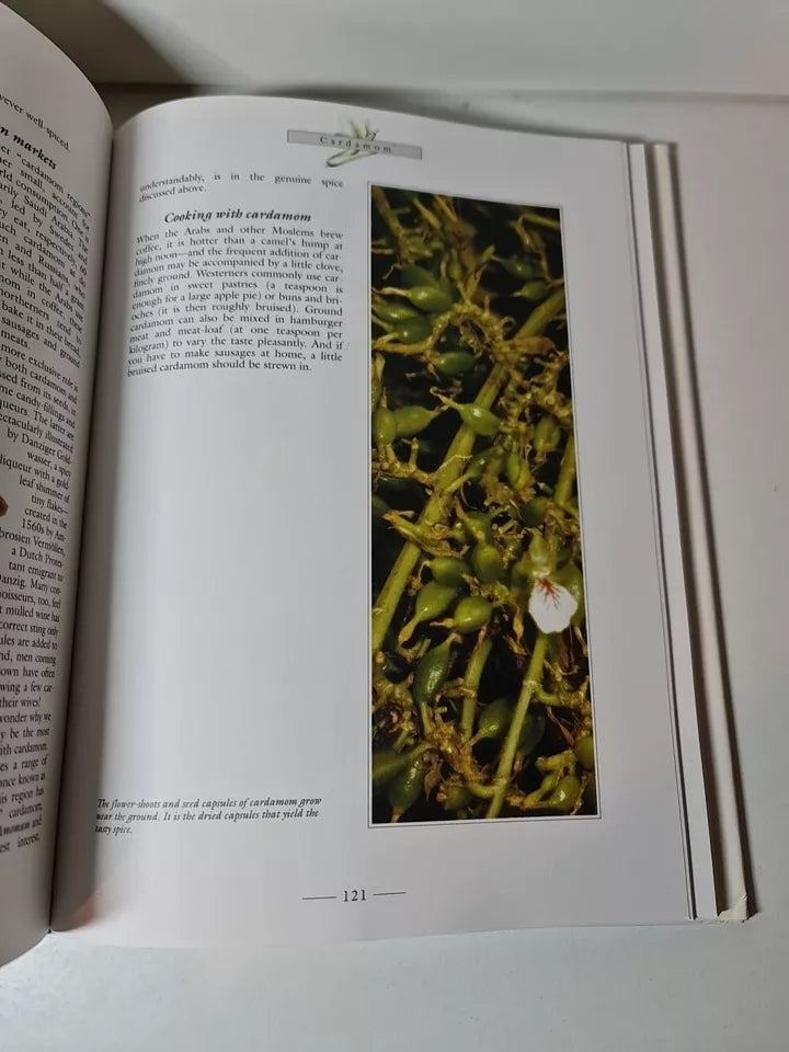 The Lore of Spices by J. O. Swahn (1995)