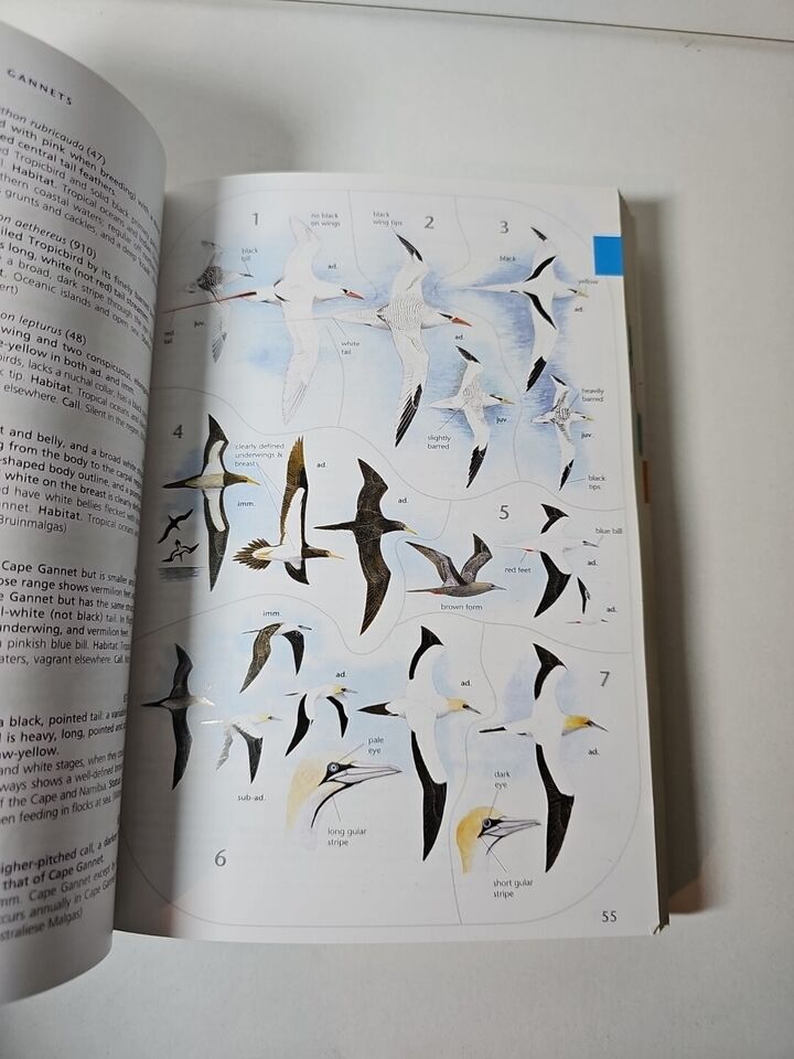 Sasol Birds of Southern Africa by Ian Sinclair (2002)