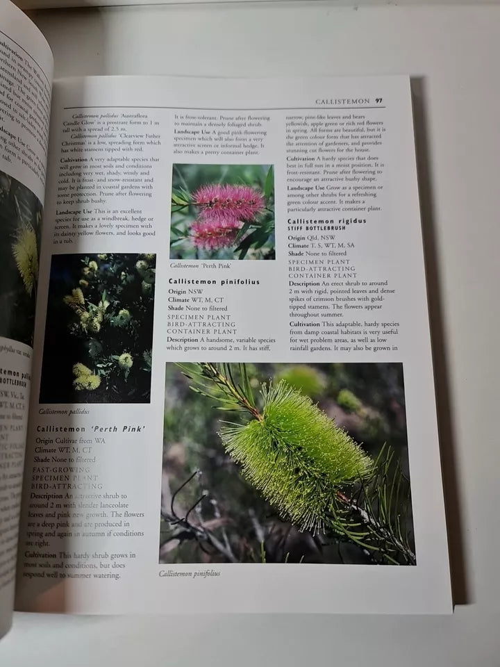 Flowering Natives for Home Gardens by Denise Greig (1996)