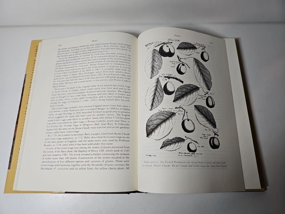Cultivated Fruits of Britain: Their Origin and History by F.A. Roach